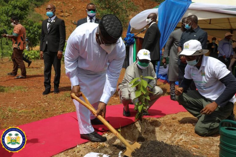 Environment Ministry Queried on Tree Planting Project